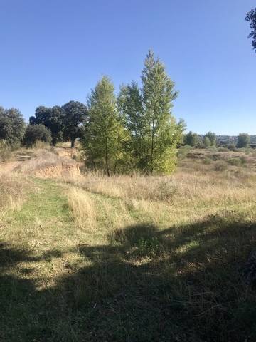 imagen 3 de Venta de finca en Aldea del Fresno (Madrid)