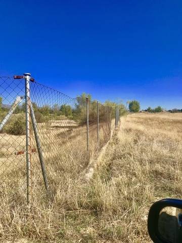 imagen 5 de Venta de finca en Aldea del Fresno (Madrid)