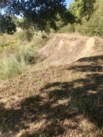 imagen 2 de Venta de finca en Aldea del Fresno (Madrid)