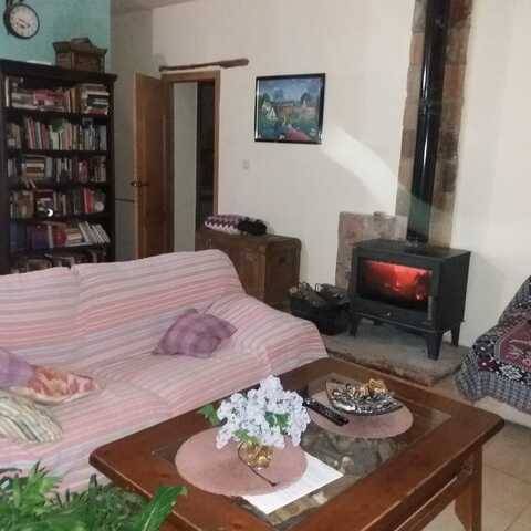 imagen 6 de Venta de finca con vivienda, luz y agua en Villaviciosa de Córdoba
