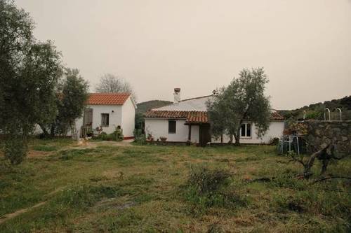 imagen 3 de Venta de finca con vivienda, luz y agua en Villaviciosa de Córdoba