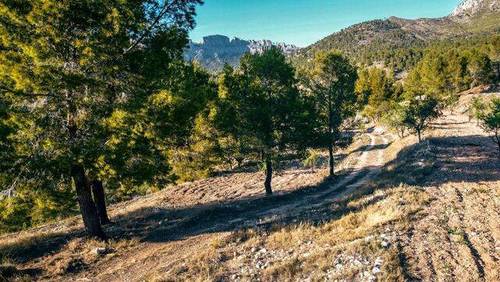 imagen 1 de Venta de finca cerca del mar en Benidorm