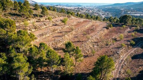 imagen 3 de Venta de finca cerca del mar en Benidorm