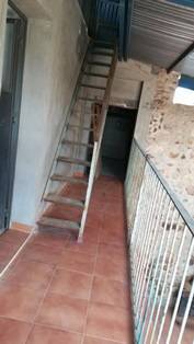imagen 4 de Venta de finca con vivienda en Camino de la Zarza