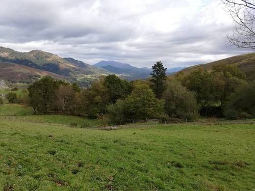 imagen 1 de Venta de finca rústica, pastizal en Cuerrias de Maza (Asturias)