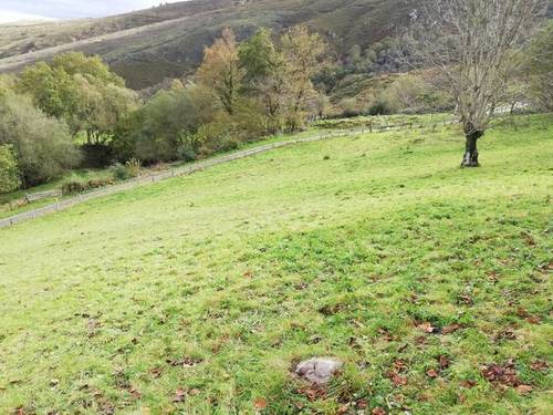 imagen 1 de Venta de finca rústica, pastizal en Cuerrias de Maza (Asturias)