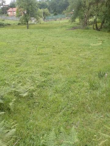 imagen 1 de Venta de finca rústica en Freixo