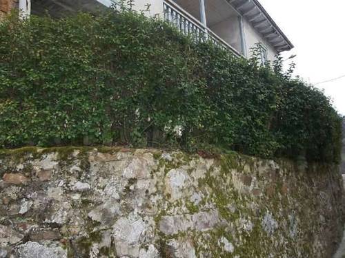 imagen 2 de Venta de  casa rural con cuadra en Melendreros