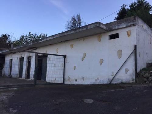 imagen 3 de Venta de finca en Palo Blanco