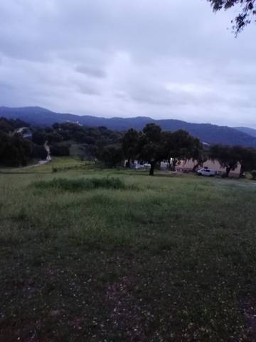 imagen 2 de Venta de finca ganadera en Cáceres