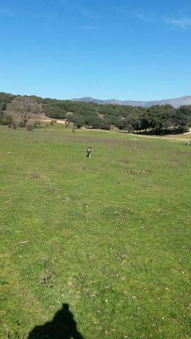 imagen 1 de Venta de finca ganadera en Guadalix (Madrid)