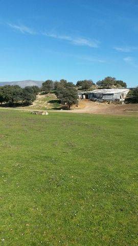 imagen 2 de Venta de finca ganadera en Guadalix (Madrid)