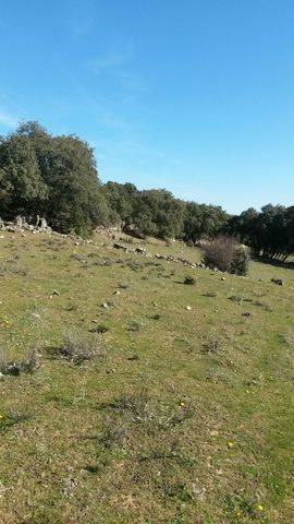 imagen 3 de Venta de finca ganadera en Guadalix (Madrid)