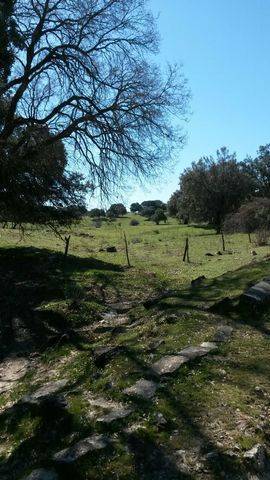 imagen 4 de Venta de finca ganadera en Guadalix (Madrid)