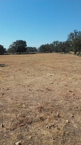 imagen 1 de Venta de finca ganadera en Cáceres