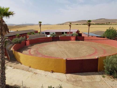 imagen 5 de Venta de finca rústica con cuadras