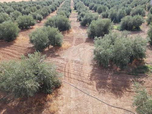 imagen 4 de Venta de finca rústica con cuadras