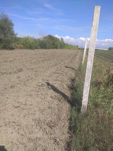 imagen 1 de Venta de finca rústica