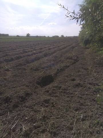 imagen 3 de Venta de finca rústica
