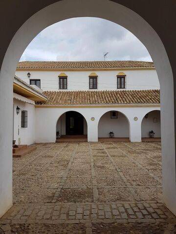 imagen 6 de Venta de finca de cortijo con cuadras en Carmona