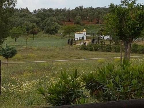 imagen 3 de Venta de finca de cortijo con cuadras en Carmona