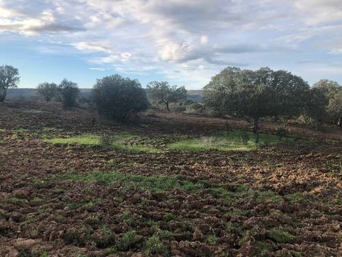 imagen 1 de Venta de finca rústica en Cáceres