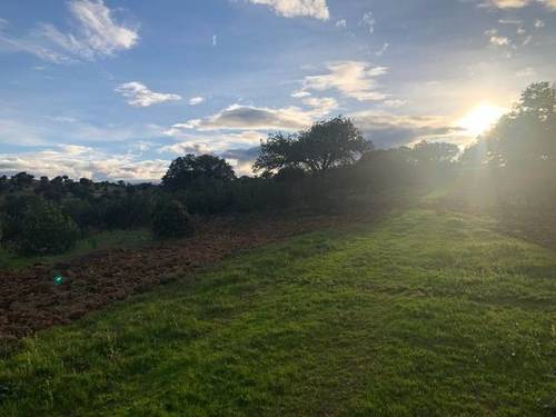 imagen 1 de Venta de finca rústica en Cáceres