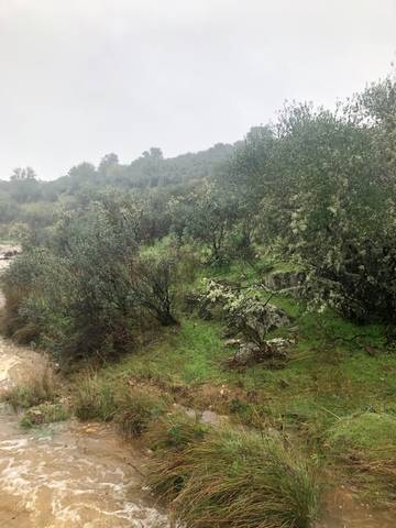 imagen 3 de Venta de finca rústica en Cáceres