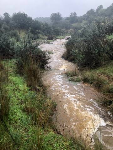 imagen 4 de Venta de finca rústica en Cáceres