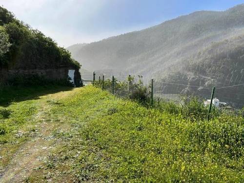 imagen 2 de Venta de finca con casa cueva