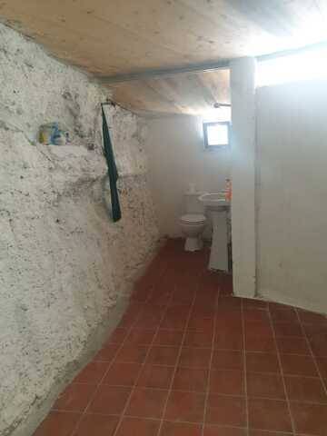 imagen 3 de Venta de finca ecológica en El Escobonal