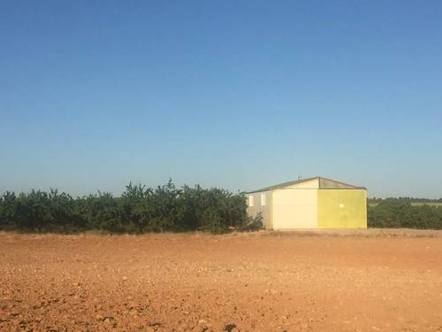 imagen 1 de Venta de finca de almendros en ecológico en Hellín (Albacete)