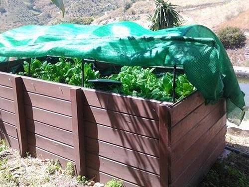 imagen 5 de Venta de finca de recreo en Almuñecar (Granada)