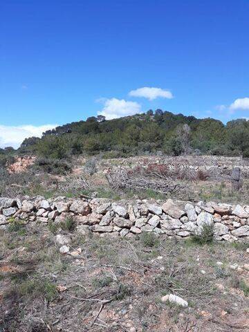 imagen 2 de Venta de terreno Xivert (Castellon)
