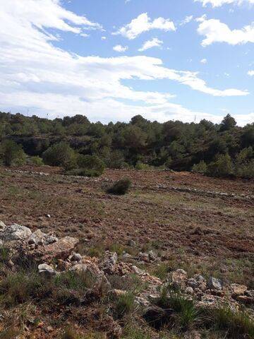 imagen 3 de Venta de terreno Xivert (Castellon)