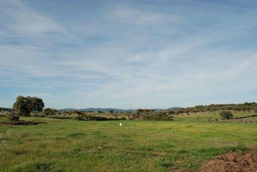 imagen 1 de Venta de finca agrícola y ganadera en Aldea del Cano (Cáceres)