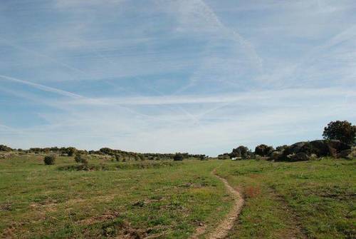 imagen 2 de Venta de finca agrícola y ganadera en Aldea del Cano (Cáceres)
