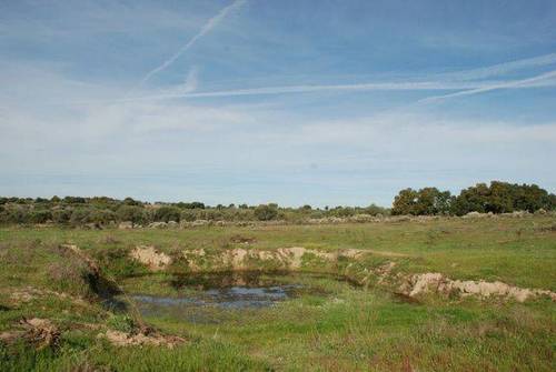 imagen 4 de Venta de finca agrícola y ganadera en Aldea del Cano (Cáceres)