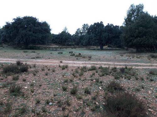 imagen 1 de Venta de finca en Letur (Albacete)