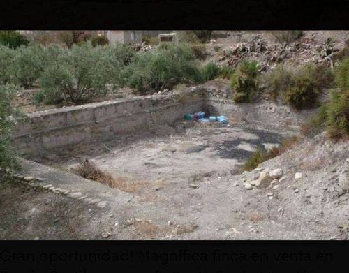imagen 3 de Venta de finca de olivos en Almería