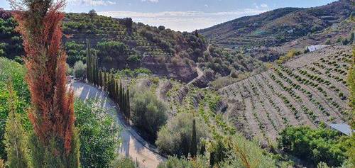 imagen 5 de Venta de casa de campo en Nerja (Málaga)