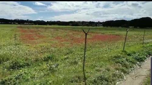 imagen 1 de Venta de finca a pie de playa en Huelva