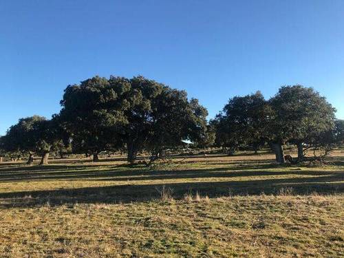 imagen 1 de Venta de fincas ganaderas en Ledesma (Slamanca)