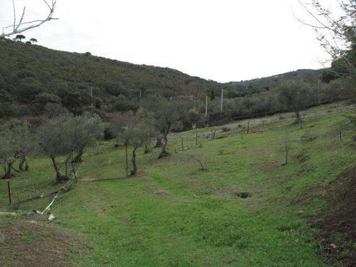 imagen 3 de Venta de casa de campo en Cáceres