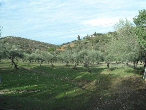 imagen 4 de Venta de casa de campo en Cáceres