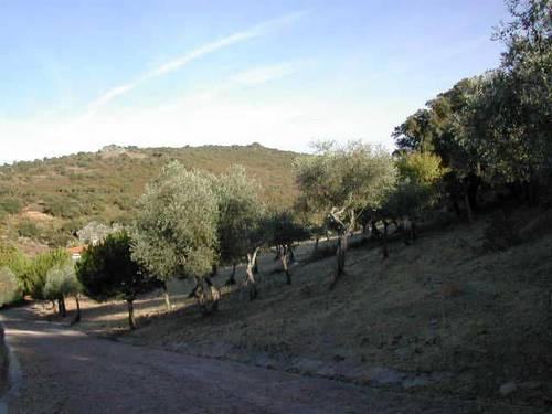 imagen 5 de Venta de casa de campo en Cáceres