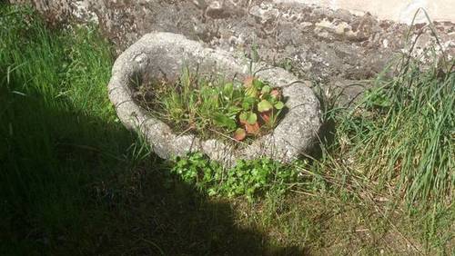 imagen 1 de Venta de casa rural a restaurar en Moreiras
