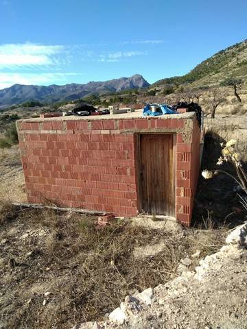 imagen 4 de Venta de finca con casa rural en Alicante