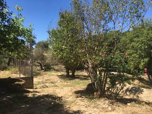 imagen 2 de Venta de finca rústica con vivienda en Campo Real