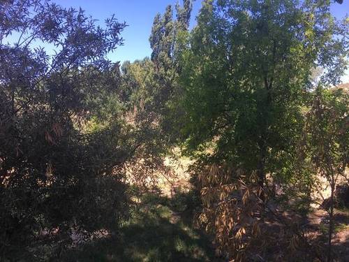 imagen 4 de Venta de finca rústica con vivienda en Campo Real